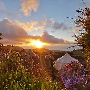  Tente de luxe Lotus Yurt